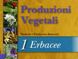 Produzioni vegetali 1 - Erbacee