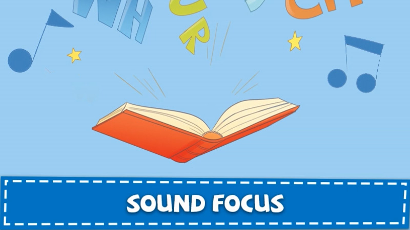 Sound Focus 6