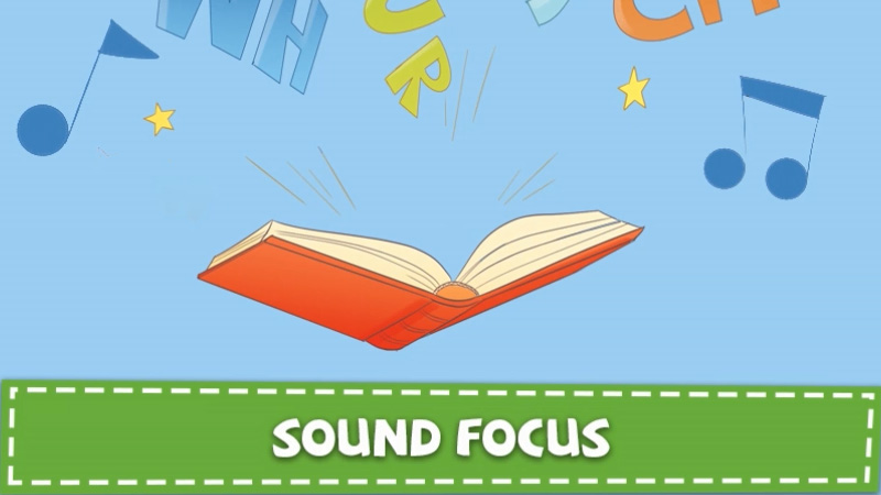 Sound Focus 5