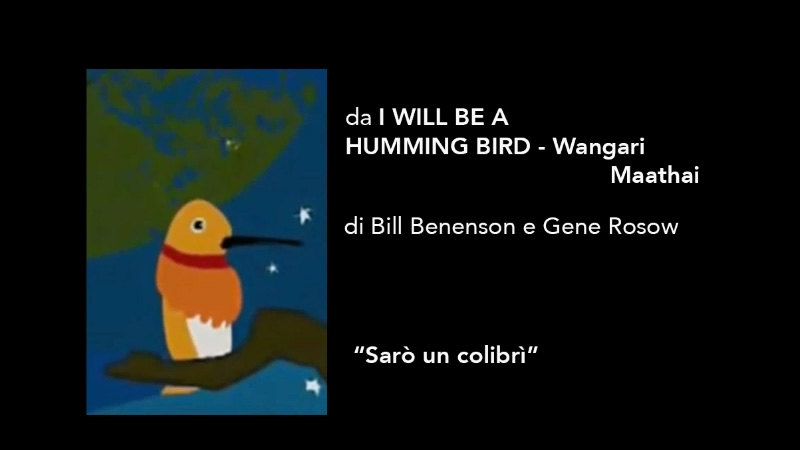 I will be a humming bird (Sarò un colibrì)