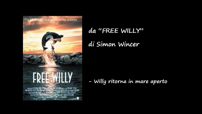 Willy ritorna in mare aperto