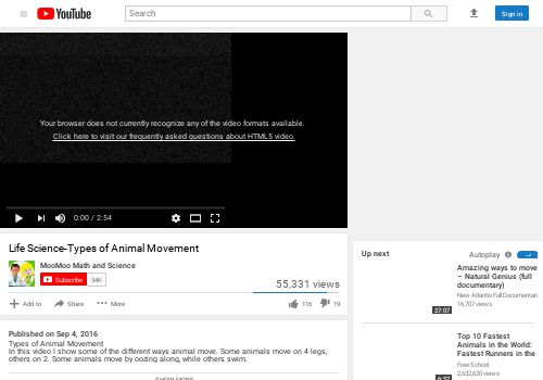 Video YouTube - Life Science: Types of Animal Movement