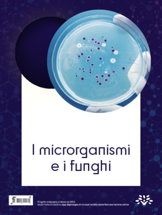 I microrganismi e i funghi