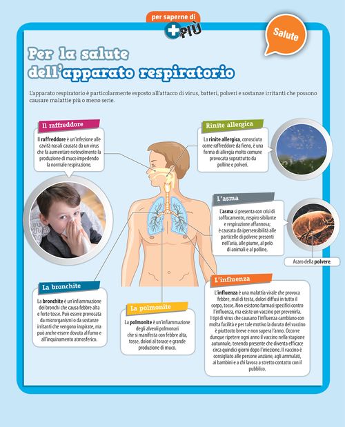Per la salute dell’apparato respiratorio