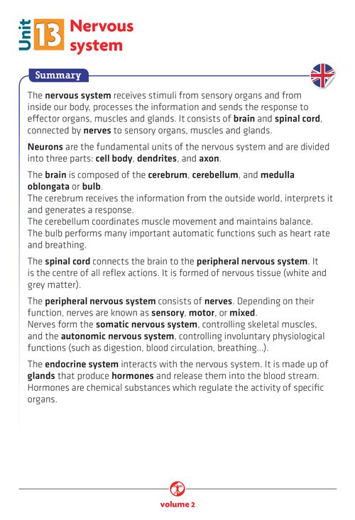 Nervous system - Summary