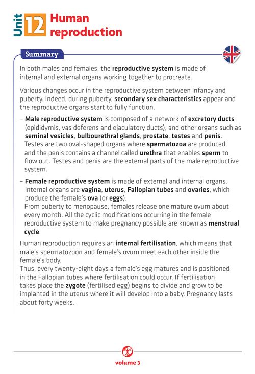 Human reproduction - Summary