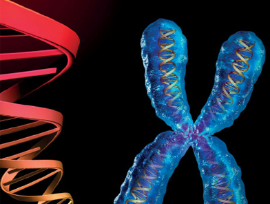 9. Il DNA e i geni