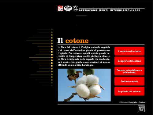 Le fibre tessili naturali di origine vegetale: il cotone