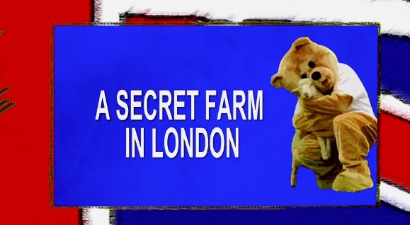 A secret farm in London