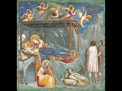 Nascita di Cristo di Giotto