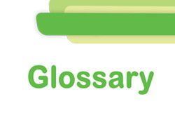 GLOSSARY