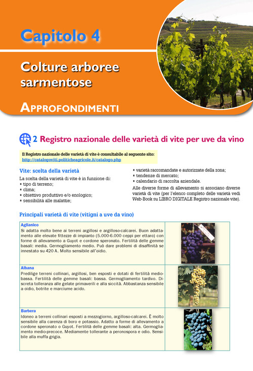 Registro nazionale delle varietà di vite per uve da vino