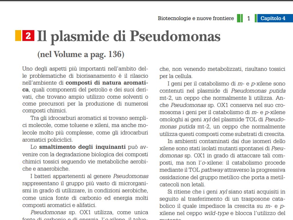 Il plasmide di Pseudomonas