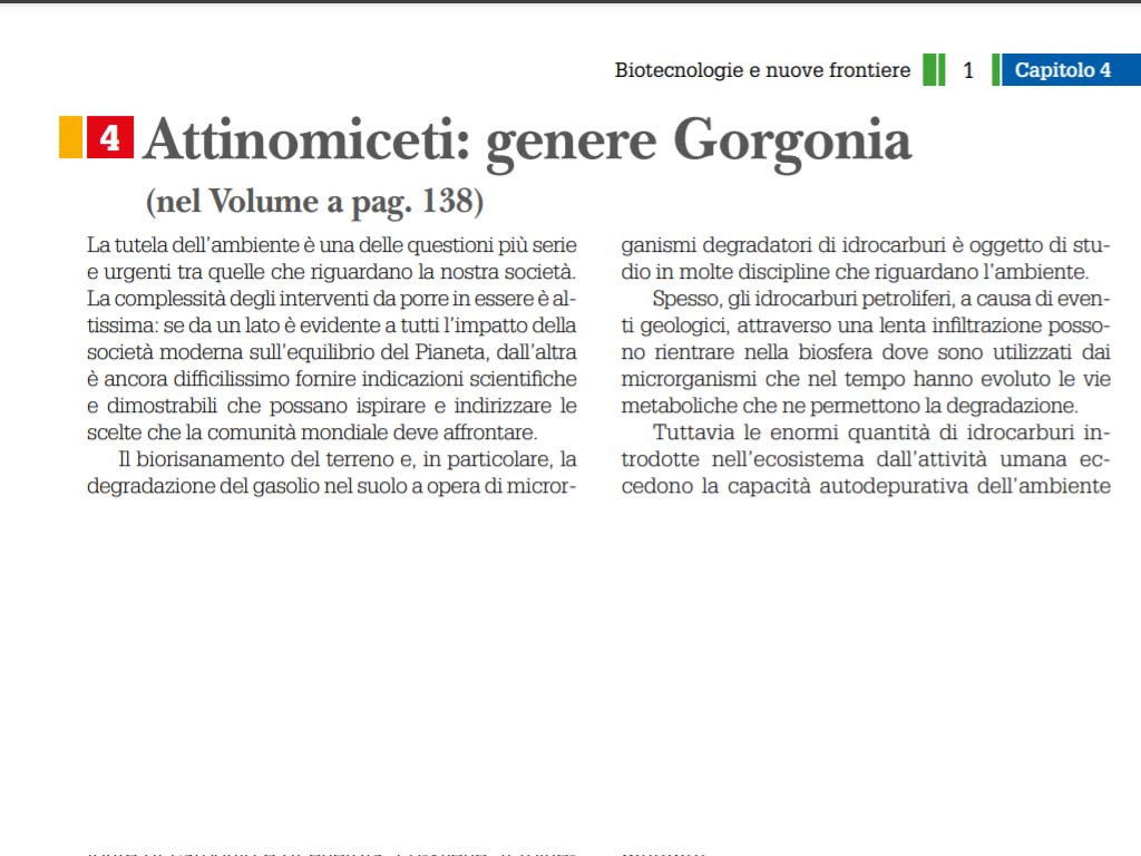 Attinomiceti: genere Gorgonia