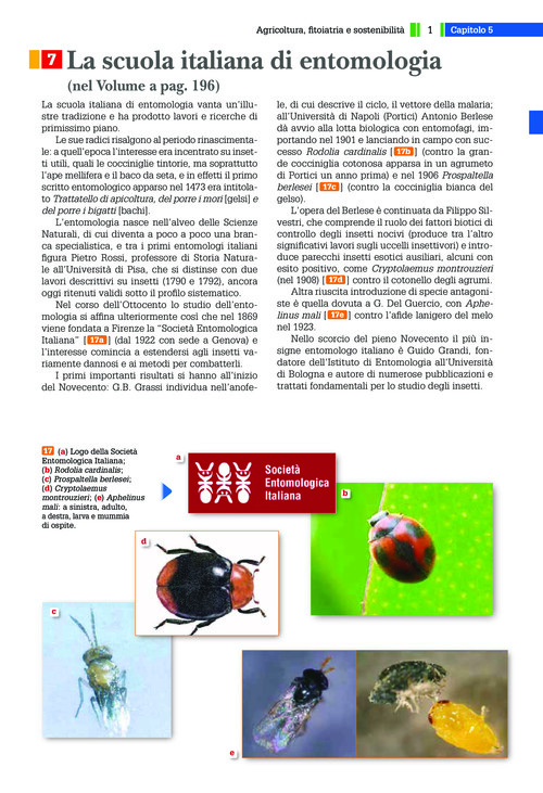 La scuola italiana di entomologia