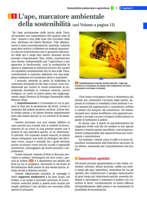 L’ape, marcatore ambientale della sostenibilità