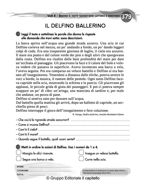 IL DELFINO BALLERINO