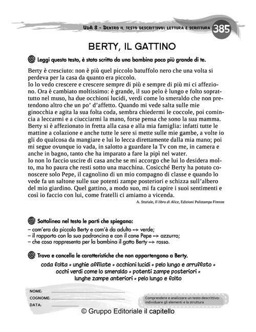 BERTY, IL GATTINO