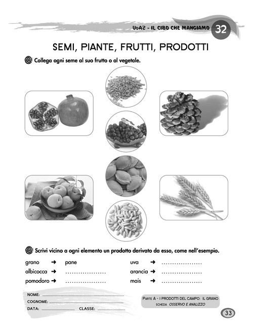 Semi, piante, frutti, prodotti