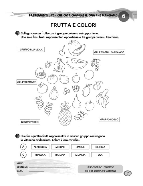 Frutta e colori