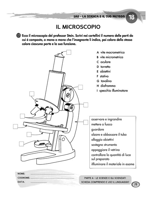 Il microscopio