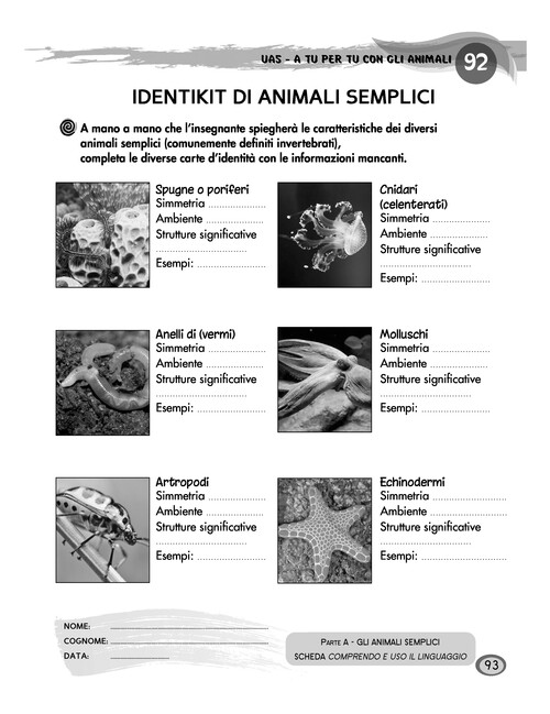 Identikit di animali semplici
