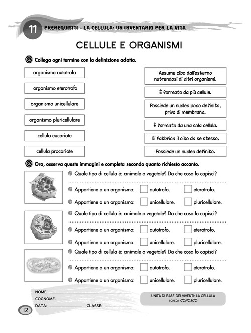 Cellule e organismi