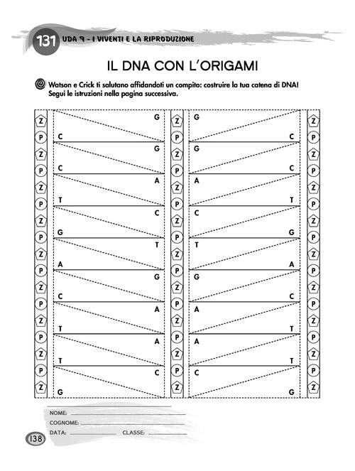 Il DNA con l’origami