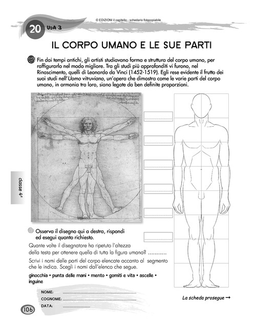 Il corpo umano e le sue parti