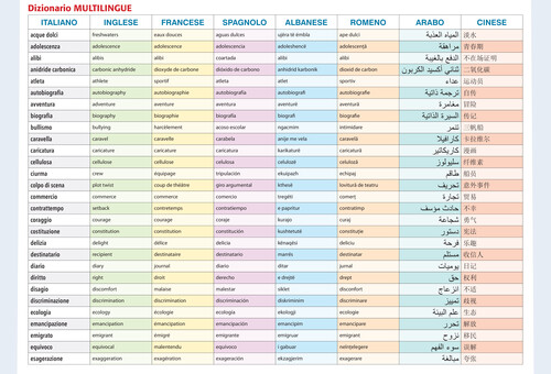 Dizionario multilingue