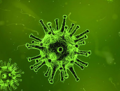 6. Virus e fitovirus