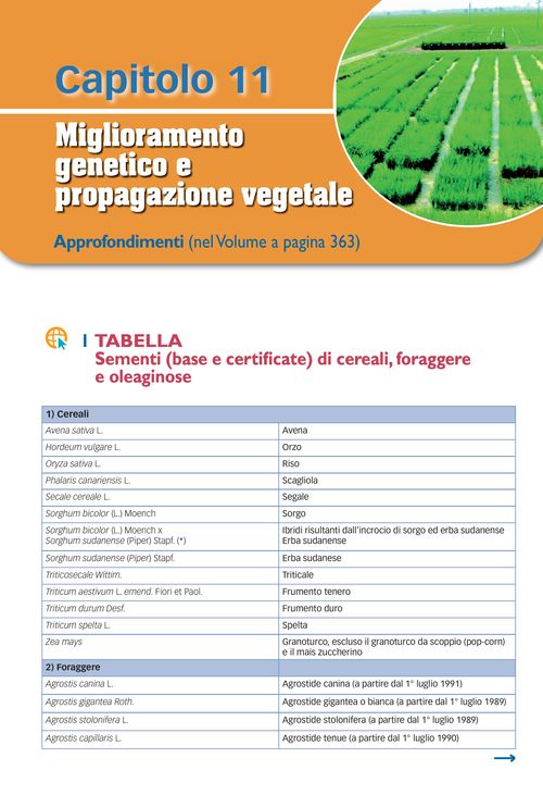 Tabella: Sementi (base e certificate) di cereali, foraggere e oleaginose - Il mais tollerante alla piralide
